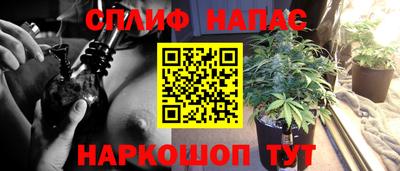 твердый Будённовск
