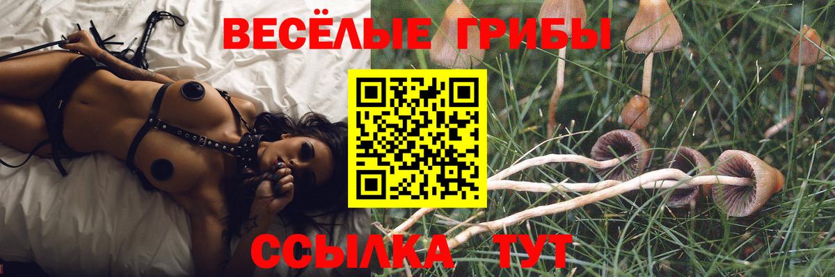 Псилоцибиновые грибы прущие грибы Сыктывкар