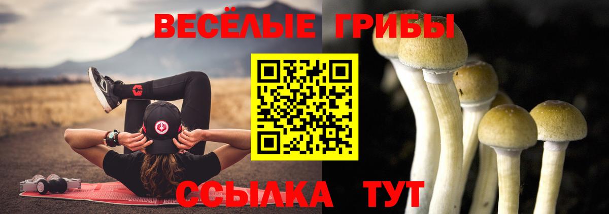 Сыктывкар  закладки  Вход с VPN  Псилоцибиновые грибы MAGIC MUSHROOMS 